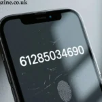 About Wukisdellpis545